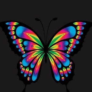 Meet your Posher, Leeaira